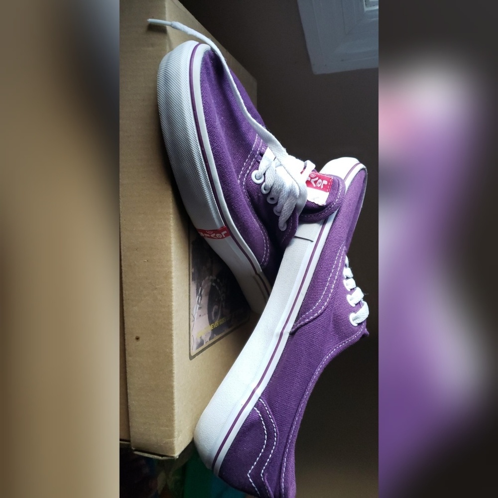 Levi's Canvas Shoes